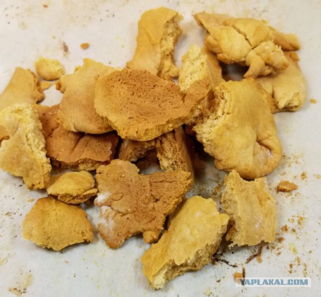 Кулинария 10 лет спустя. С Днем Рождения!