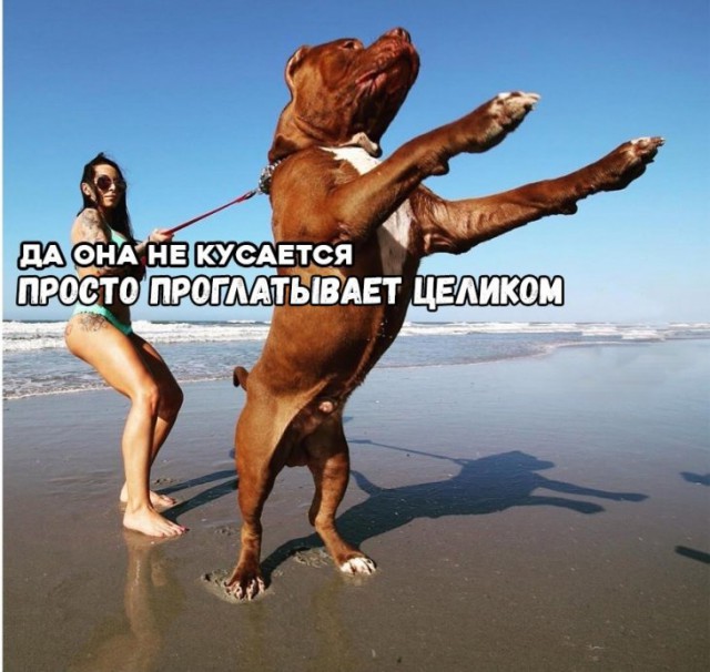 Немного картинок для настроения