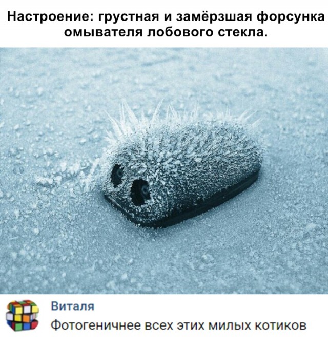 Нестандартный юмор