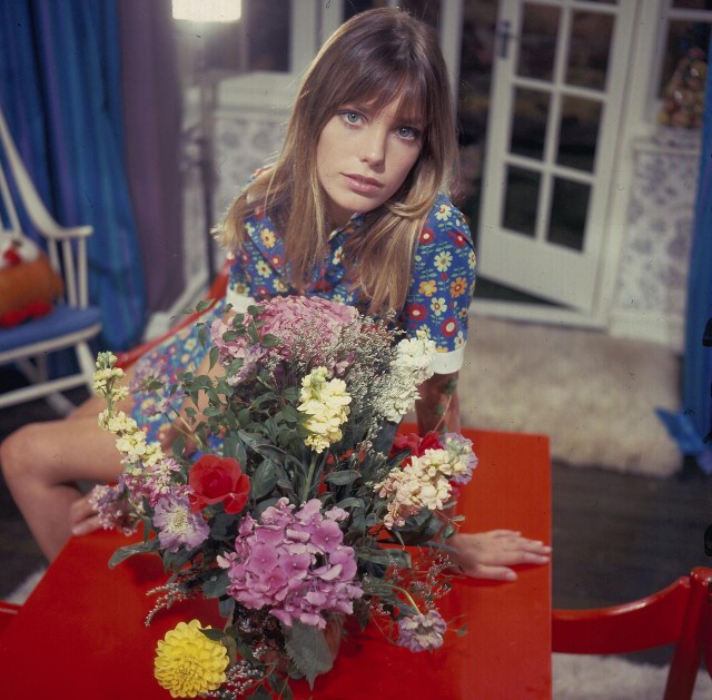 The special edition: Jane Birkin