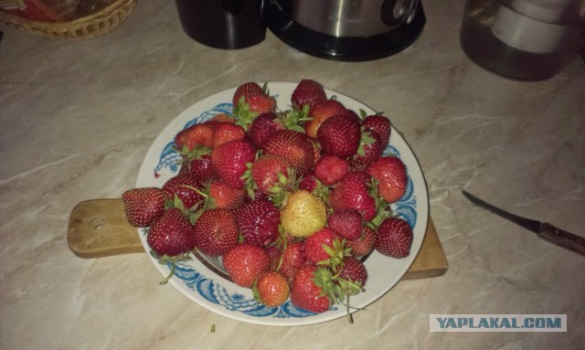 А почем у вас клубника?