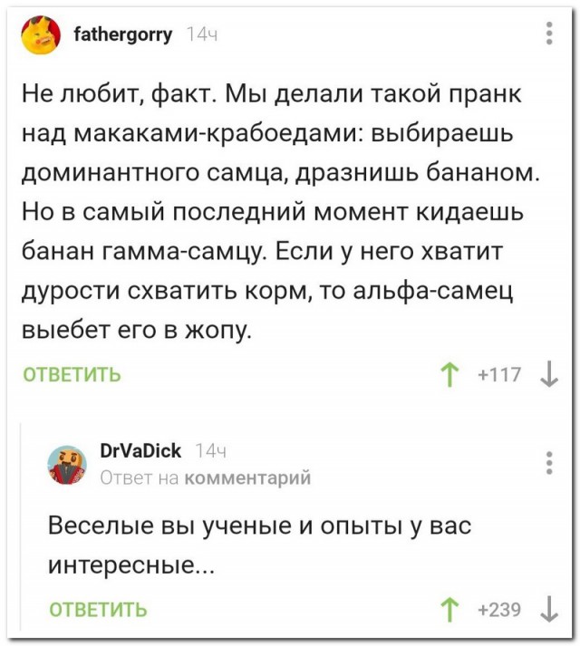 Прикольные комментарии и высказывания из Сети