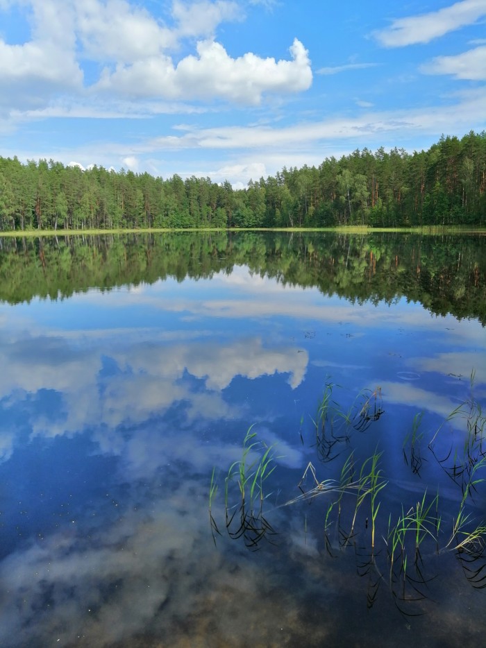 Деревенская Америка - 5