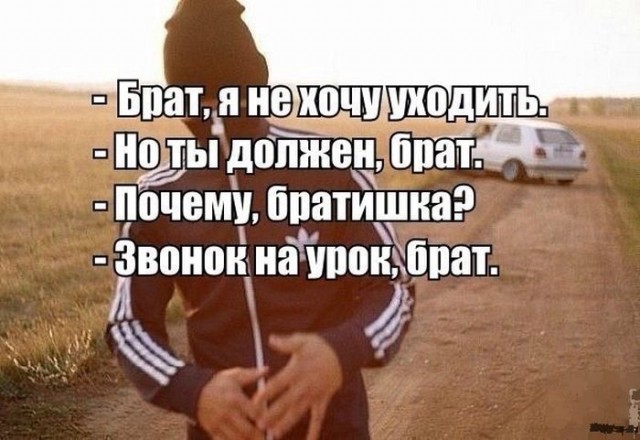 Немного картинок для настроения 20.11.19