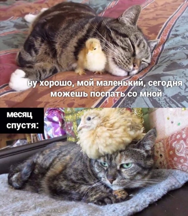 Немного картинок для настроения 18.05.20