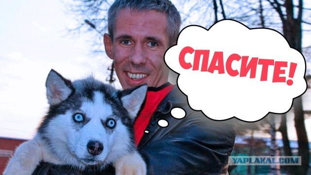 Так себе картинки 21.06.20