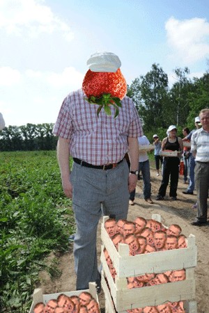Как Жириновский на клубнике был