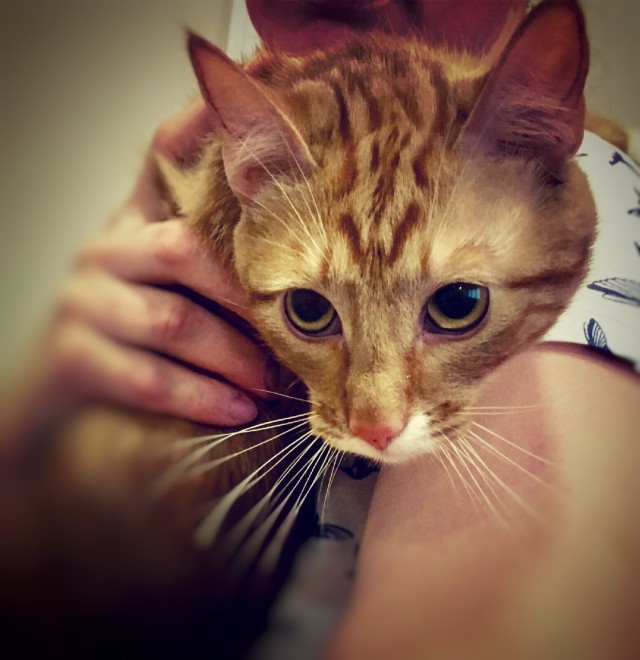 Глазки отдохните: подборка живности всякой