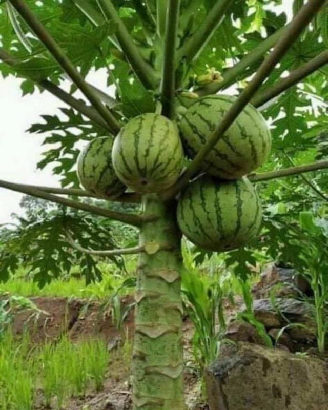Картинки всякие