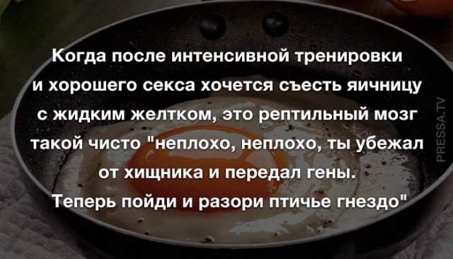Картинки и мемы для настроения 002