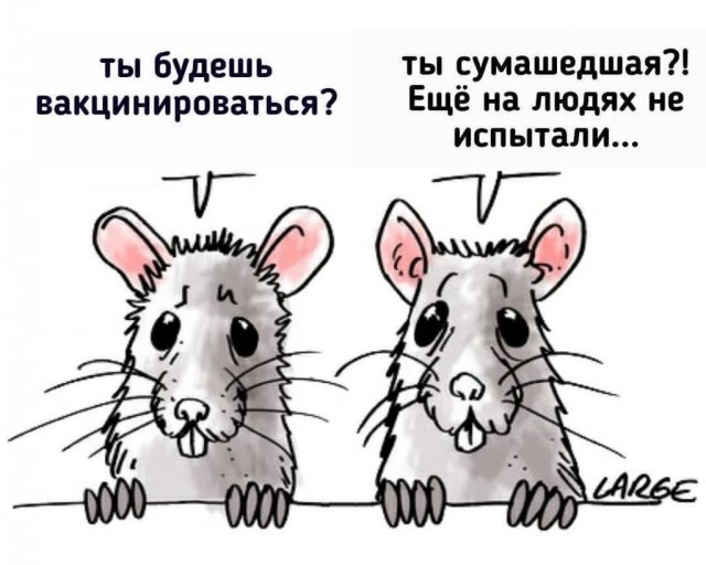 В России начинается массовая добровольная вакцинация населения от коронавируса, но оказывается всё не так радужно