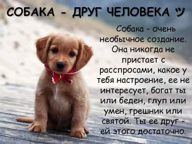 Страж