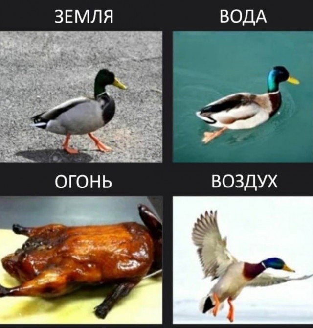 Праздничные маразмы преследуют нас