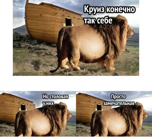Кретинизмы из сети 03.09.2021