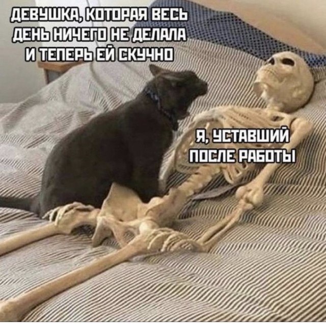 Картинки и мемы, всем прекрасных выходных