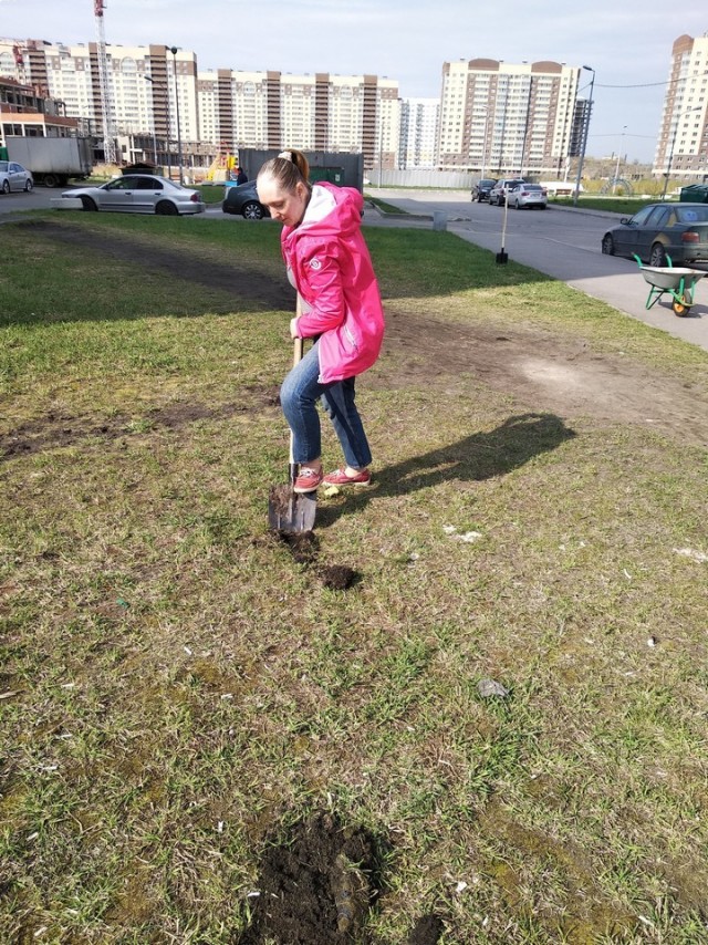 Свежая зелень