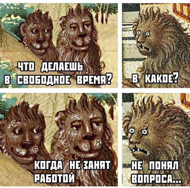 Весёлый полтишок 20.01
