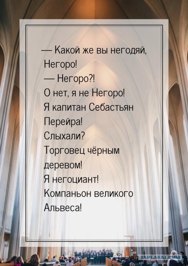 Ух, какие красавицы!