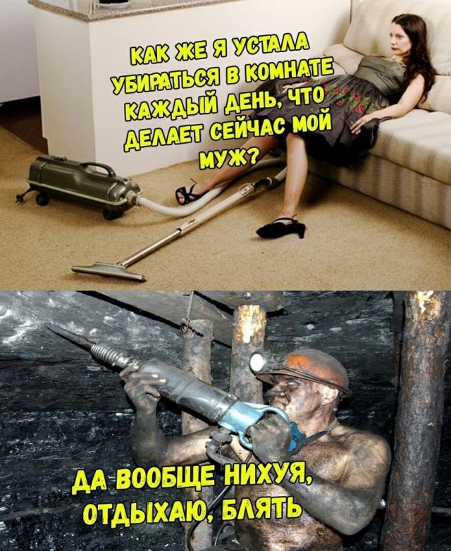 Наши любимки такие смешные