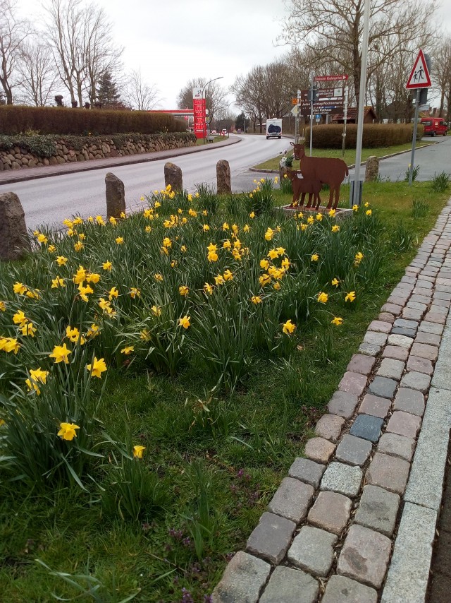 В Питере весна!