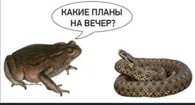 Губернатор Свердловской области Куйвашев зацепился с Соловьевым