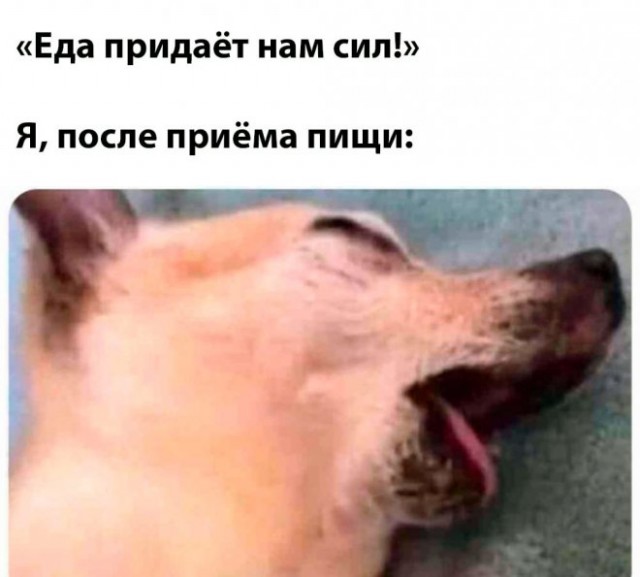 Немного картинок и прочей хреноты Vol. 12