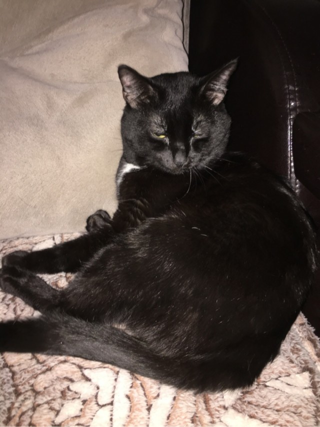 Кот д’Ивуар