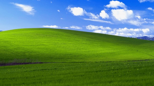 Microsoft начали принудительно откатывать компьютеры россиян до Windows XP