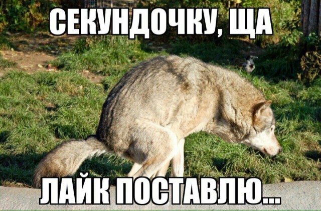 Сегодня Михаилу Задорнову исполнилось бы 74 года
