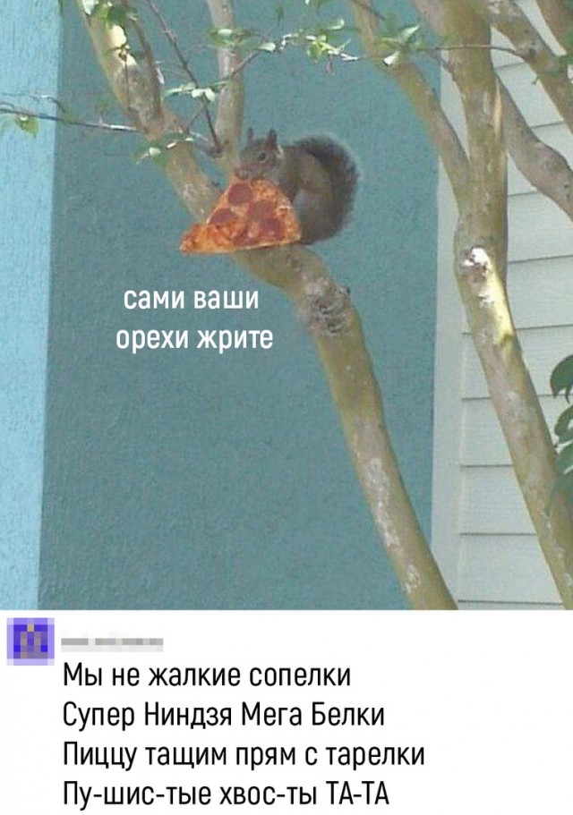 Так себе картинки 30.07.22