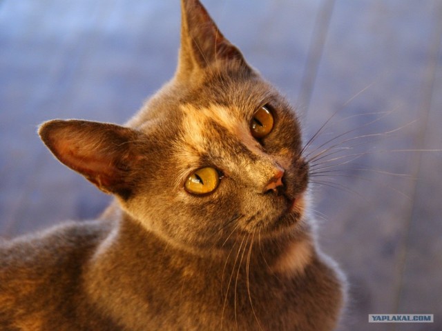 Прогулка по Крыму