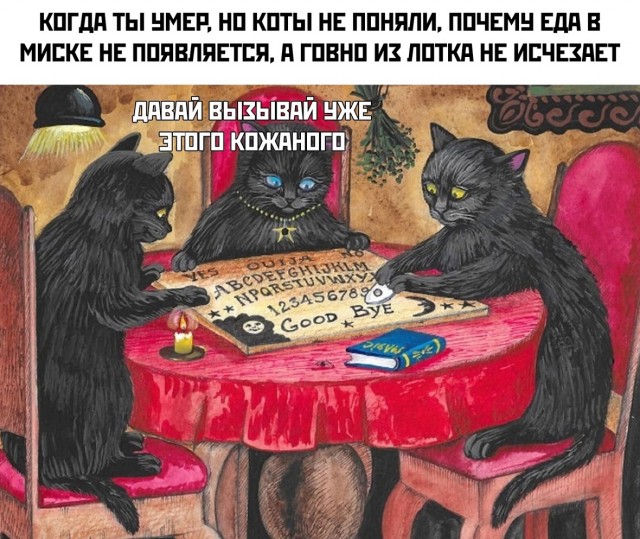 Так себе картинки 30.08.22