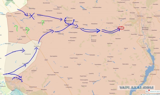 Пандемия съехавших крыш - разновидности болезни. Россия и мир. Часть 41.