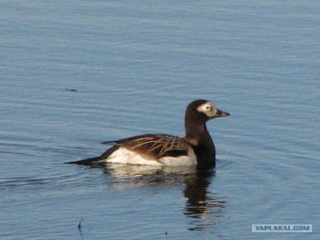 Ямал. Два времени года