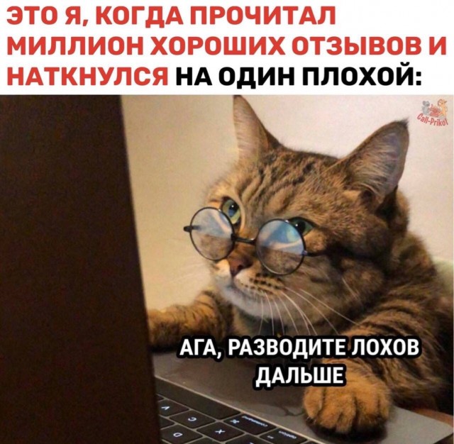 Разнообразного характера мемы