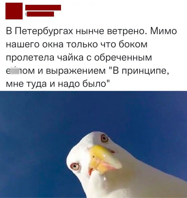Так себе картинки 02.01.2023