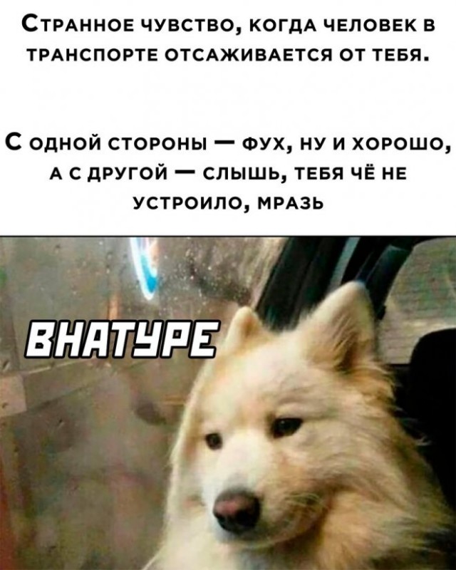 Картинки и мемы, всем хороших выходных