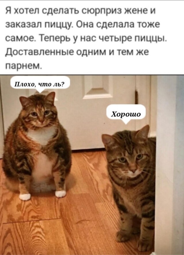 Прикольные и просто красивые картинки 03.02.2023