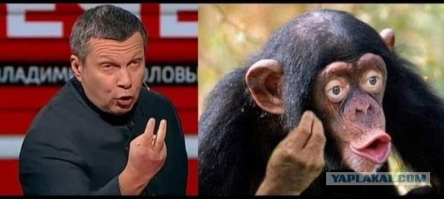 Международный уголовный суд в Гааге выдал ордер на арест Владимира Путина и Львовой-Беловой