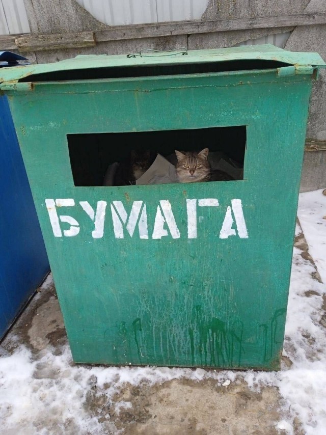 Всего понемногу. И снова пятничный.