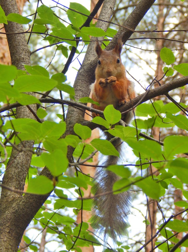 Природа Южного Урала