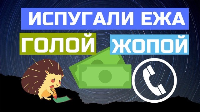 В Австралии телеведущая разделась в прямом эфире