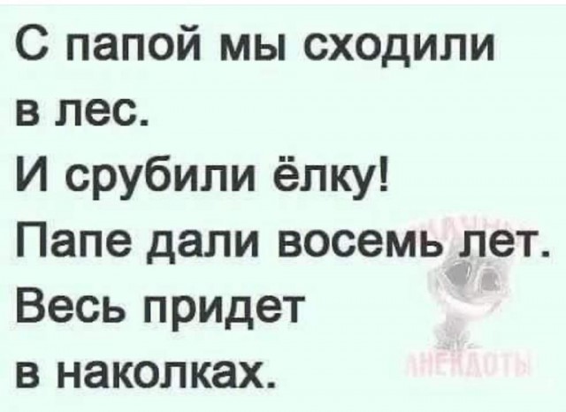 Житель Петербурга срубил ёлочку на улице и унес домой