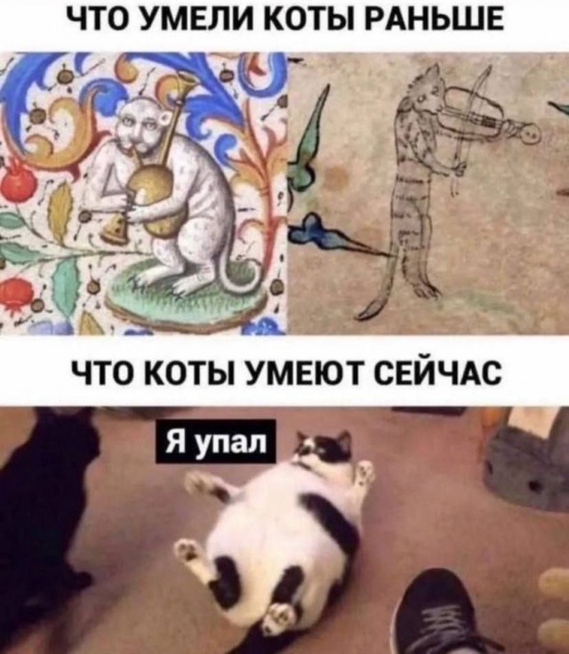 Заключительная порция баянов в уходящем году