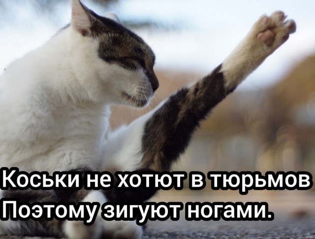 Не очень адекватный юмор