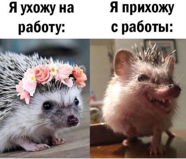Завалялось тут случайно немного забавных картинок