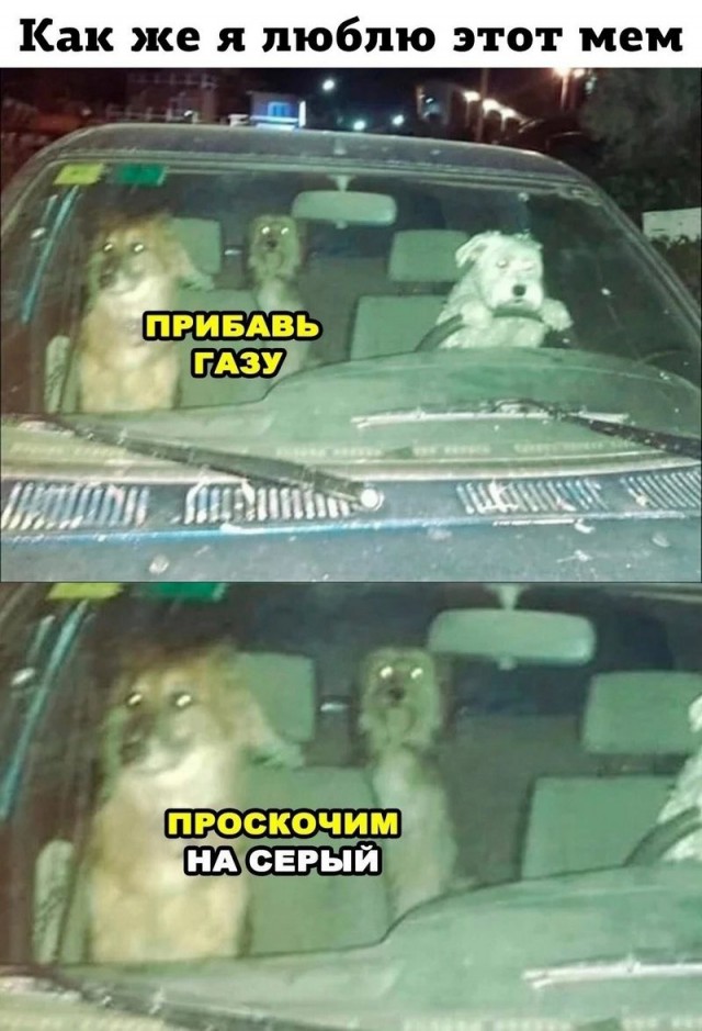 Завалялось тут случайно немного забавных картинок