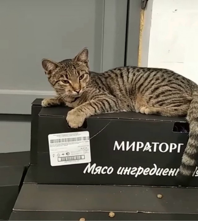 Завалялось тут случайно немного забавных картинок