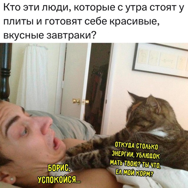 Весёлый полтишок 19.09.24