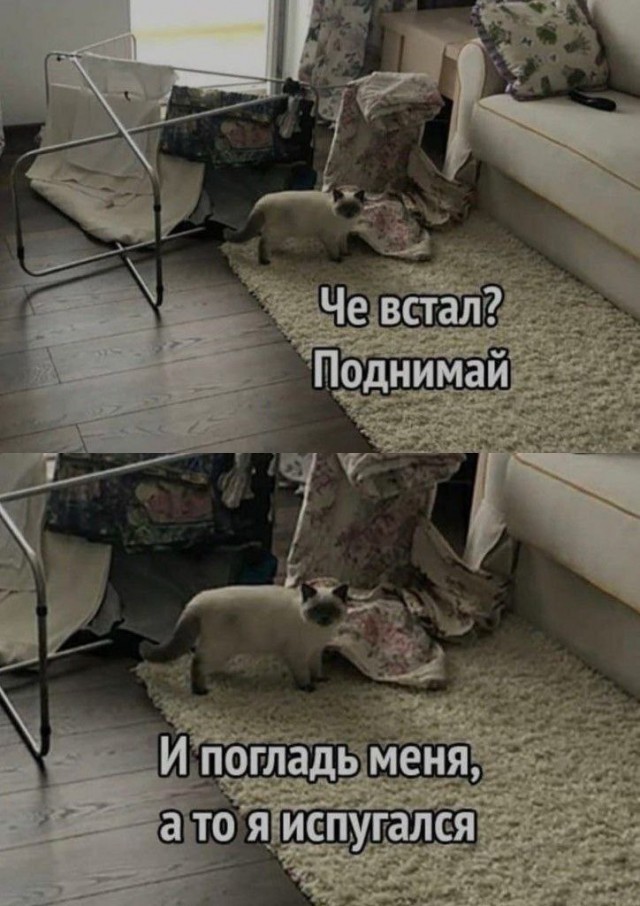 Завалялось тут случайно немного забавных картинок